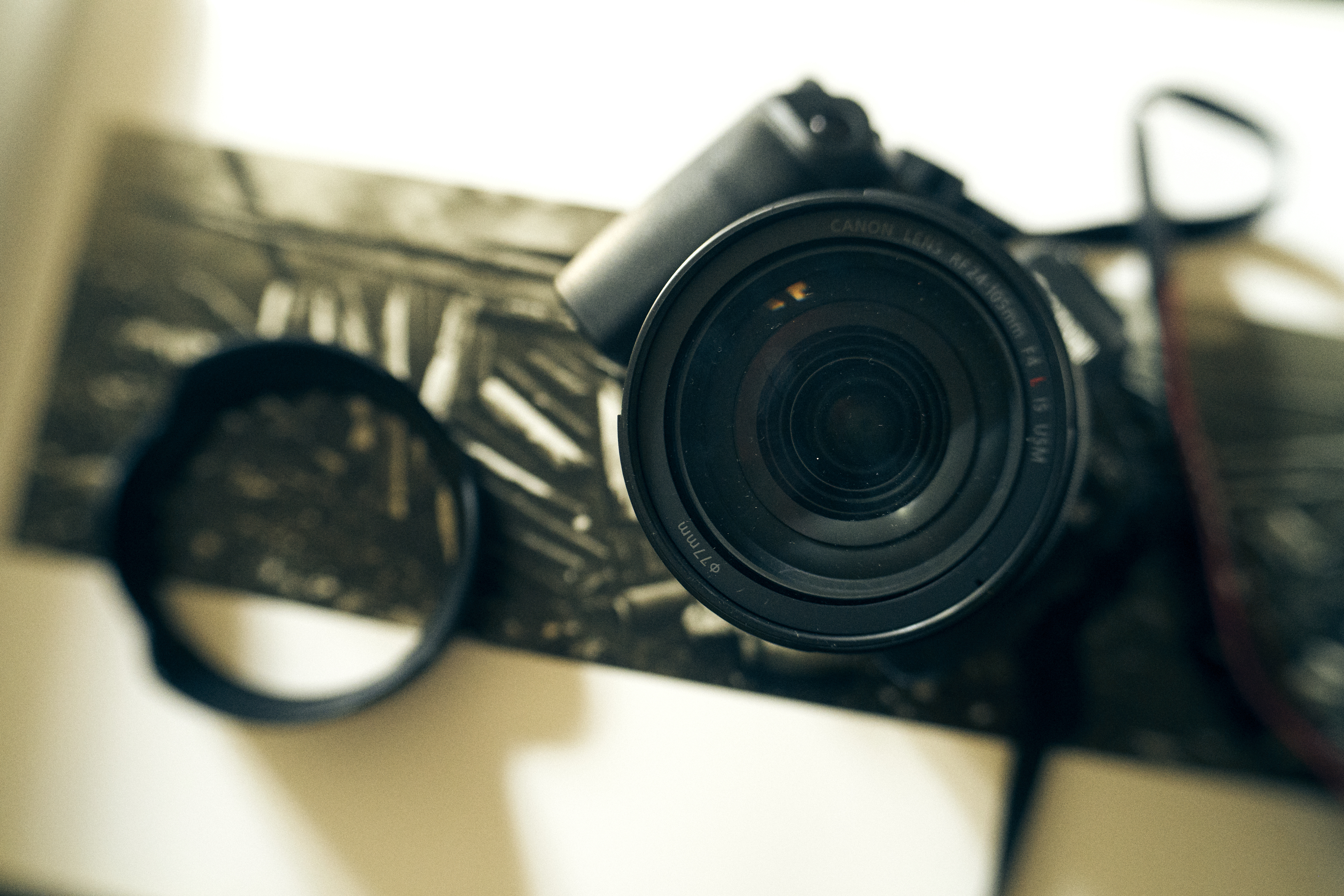 Chris Gampat The Phoblographer Canon RF 24-105mm f4 L IS USM review product images Canon EOS R 5