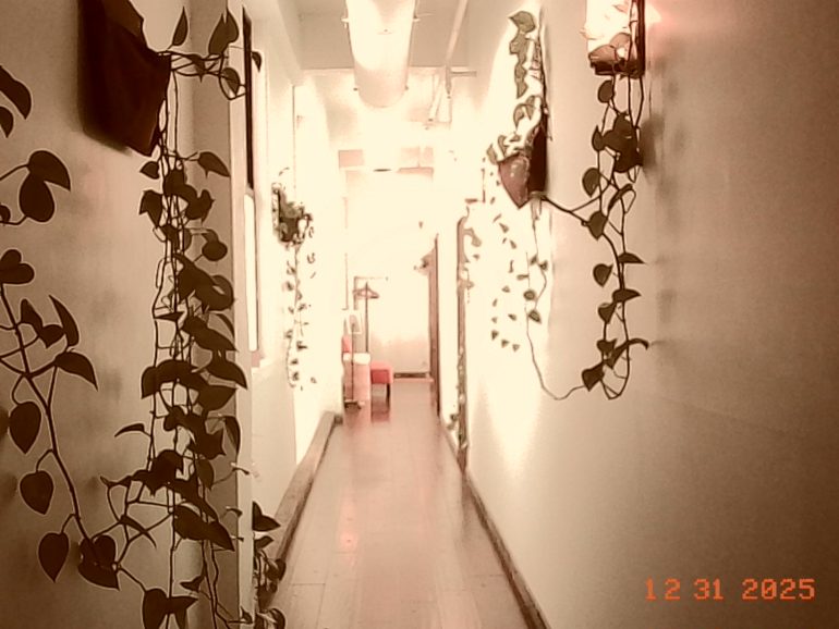 A narrow hallway with trailing plants on both walls, bright light at the end, and a date stamp: 12 31 2025.