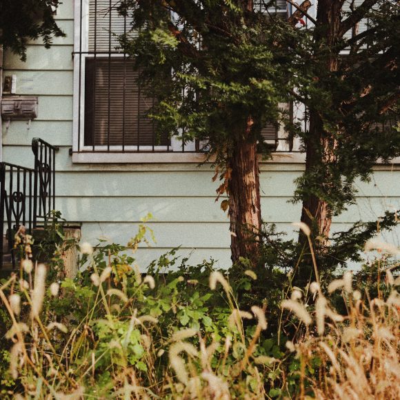 Overgrown grass and weeds in front of a house with pale green siding and barred windows.