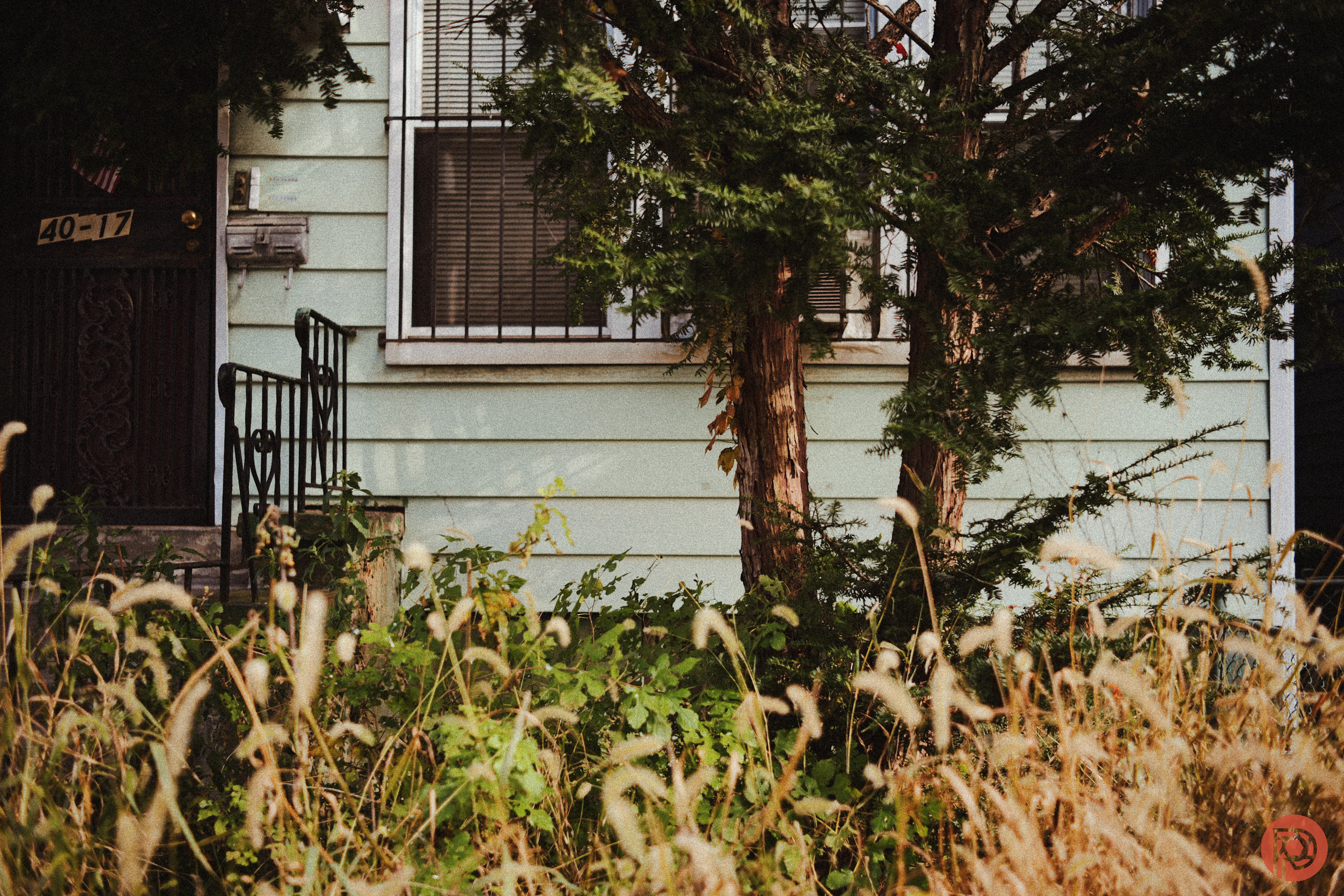 Overgrown grass and weeds in front of a house with pale green siding and barred windows.