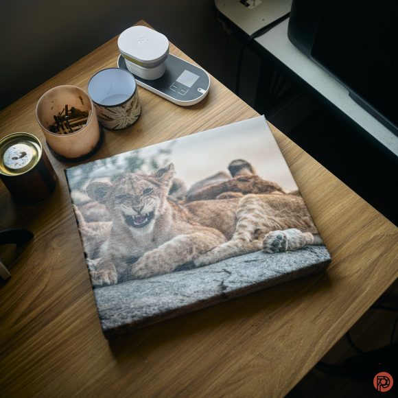 A canvas photo of lions on a wooden desk beside candles, a scale, and a container.