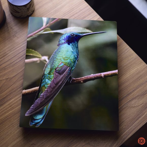 A colorful hummingbird photo print rests on a wooden table near a plant and a cup.