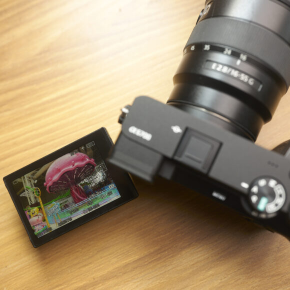 A digital camera on a wooden surface displays a close-up photo of a pink mushroom on its screen.